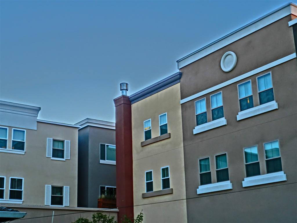 CIMG2485 (Large).JPG