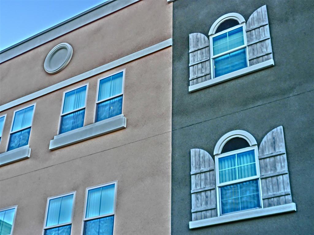 CIMG2490 (Large).JPG