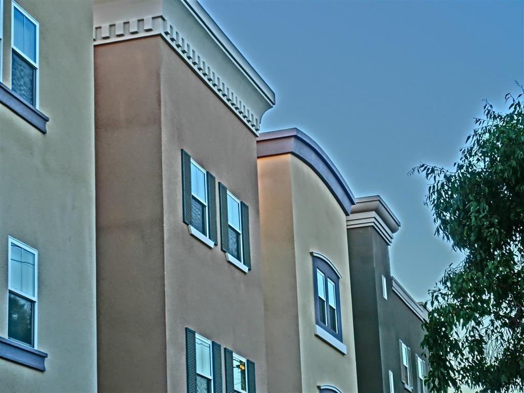 CIMG2492 (Large).JPG