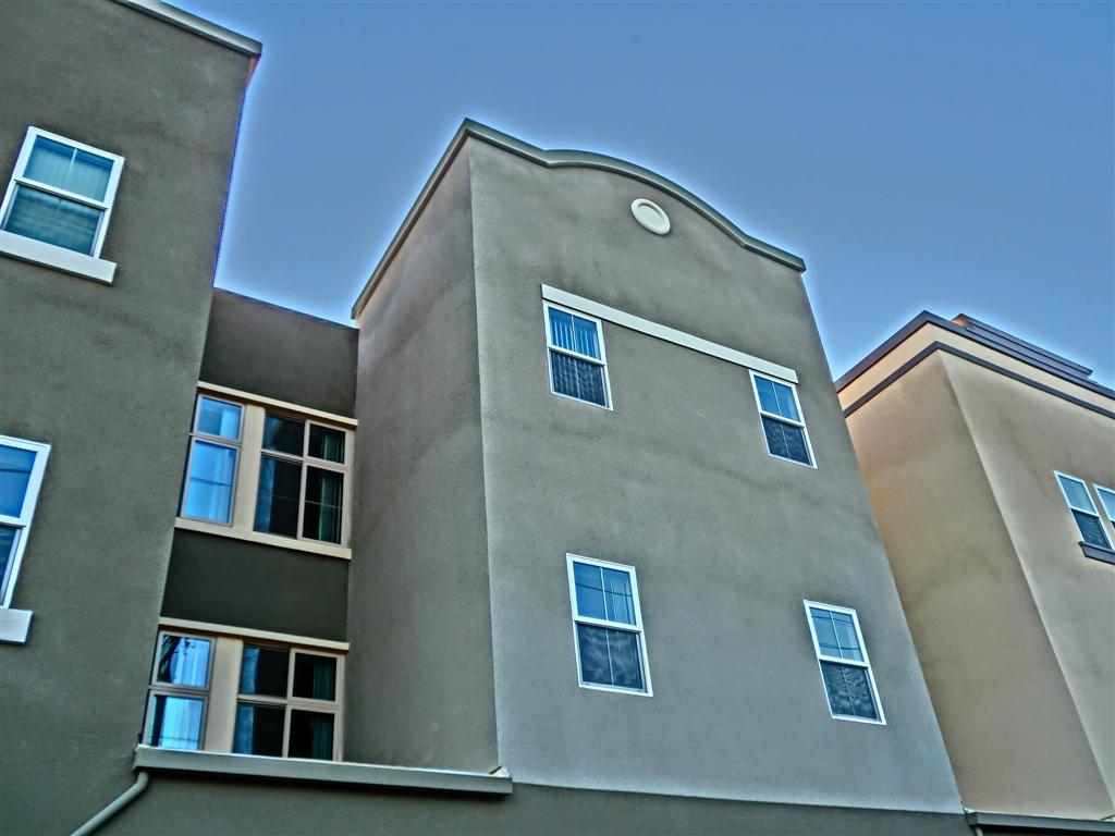 CIMG2493 (Large).JPG