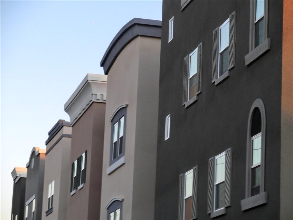 CIMG2507 (Large).JPG