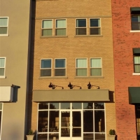 CIMG2457 (Large).JPG