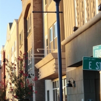 CIMG2470 (Large).JPG