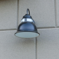 CIMG2478 (Large).JPG