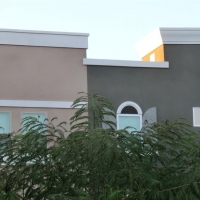 CIMG2480 (Large).JPG