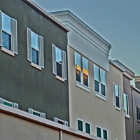 CIMG2484 (Large).JPG