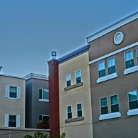 CIMG2485 (Large).JPG