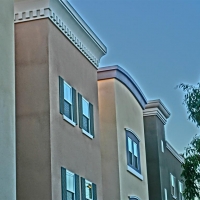 CIMG2492 (Large).JPG