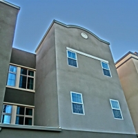 CIMG2493 (Large).JPG