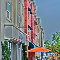 CIMG7135 (Large).JPG