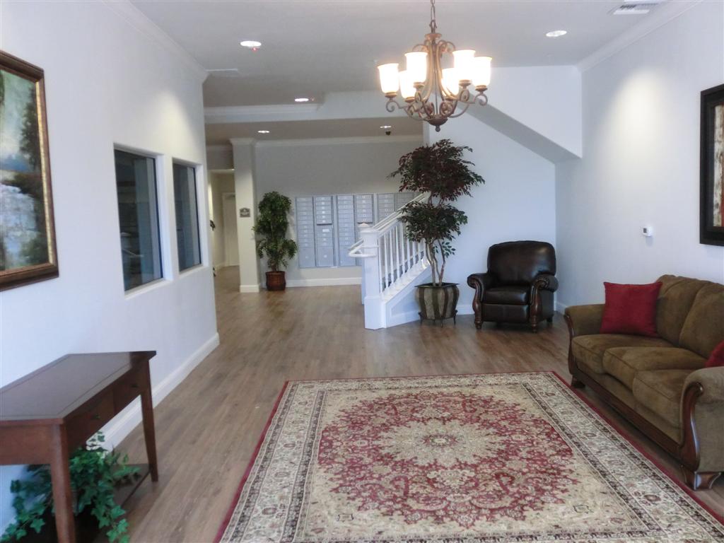 CIMG1484 (Large).JPG