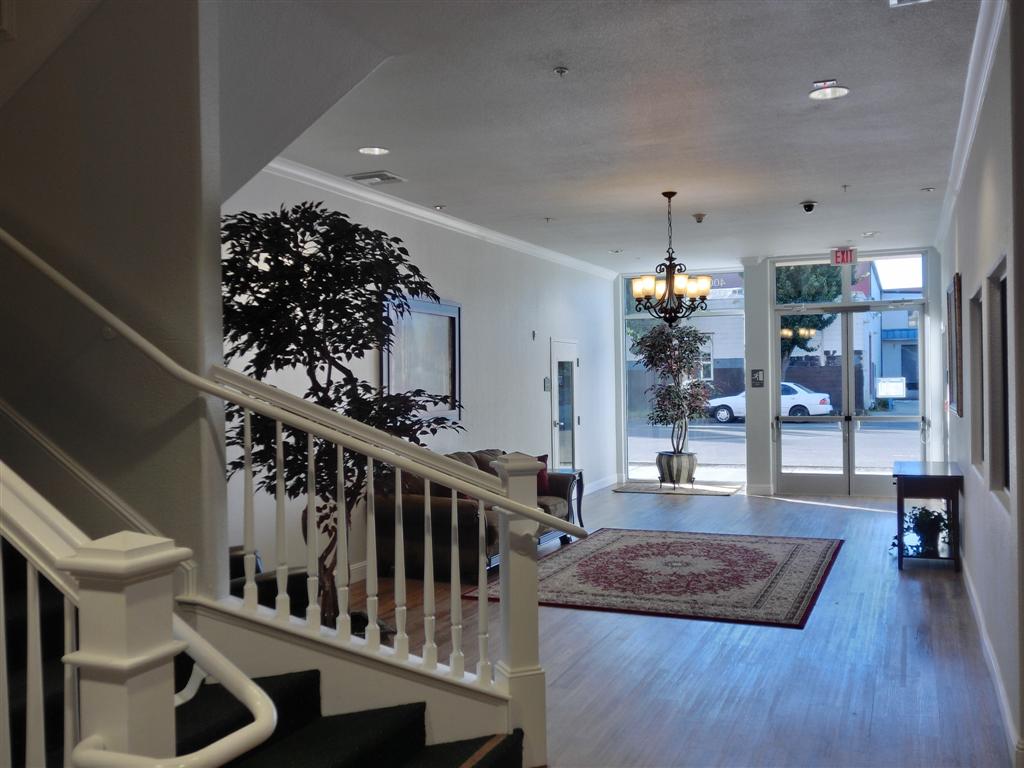 CIMG1499 (Large).JPG