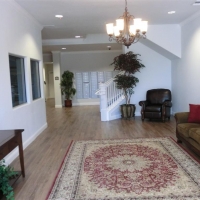 CIMG1484 (Large).JPG