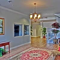 CIMG1497 (Large).JPG