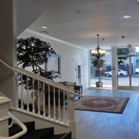 CIMG1499 (Large).JPG