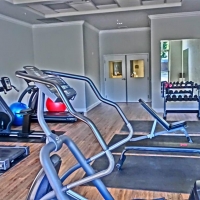 CIMG1503 (Large).JPG