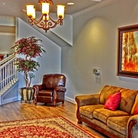 CIMG2392 (Large).JPG