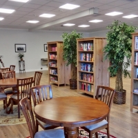 CIMG3309 (Large).JPG