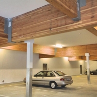 gp int 1 (Large).jpg