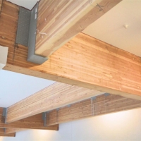 gp int 3 (Large).jpg