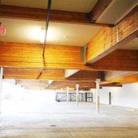 gp int 4 (Large).jpg