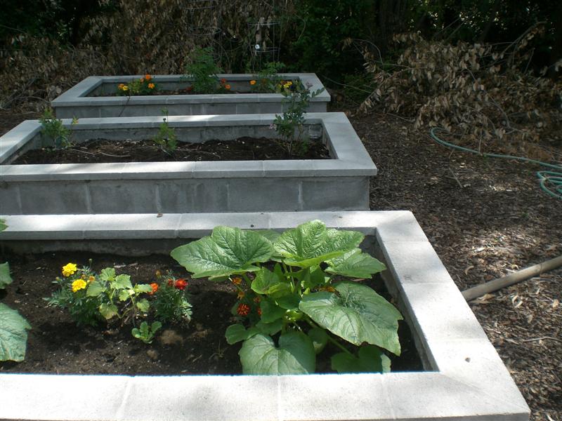 Planter