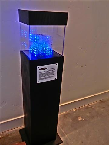 CIMG6236 (Small).JPG