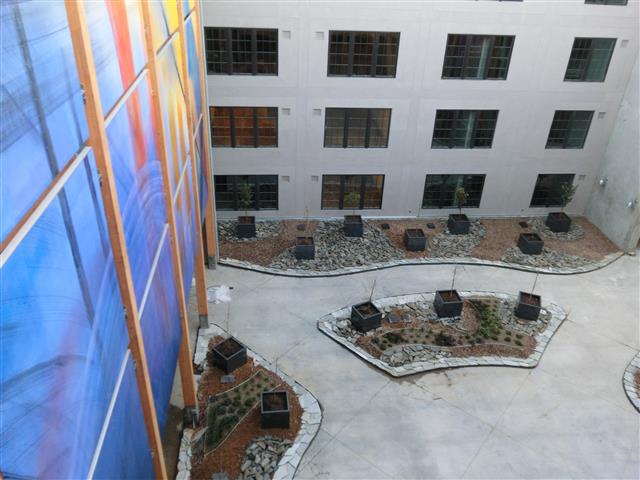CIMG6250 (Small).JPG