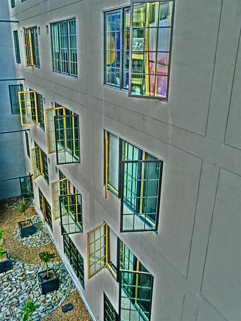 CIMG6810 (Large).JPG