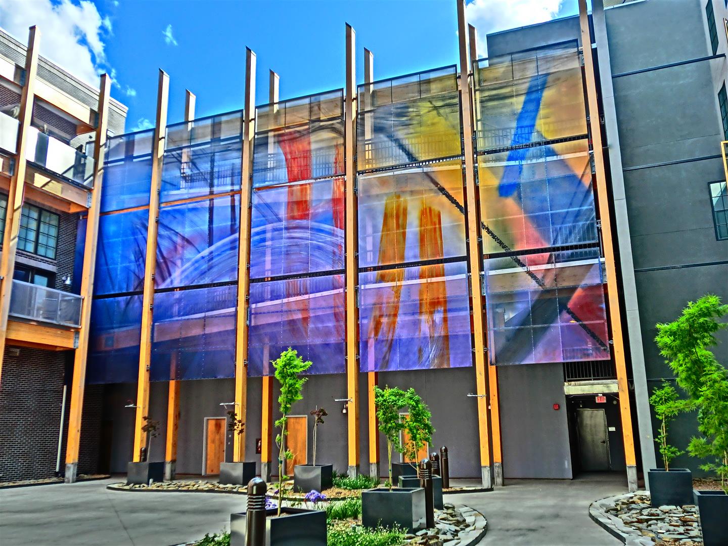 CIMG6856 (Large).JPG