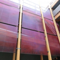 CIMG5730 (Small).JPG
