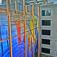 CIMG6032 (Medium).JPG
