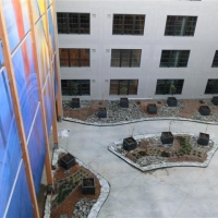 CIMG6250 (Small).JPG