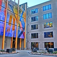 CIMG6348 (Medium).JPG