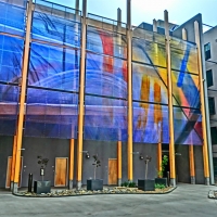 CIMG6854 (Large).JPG