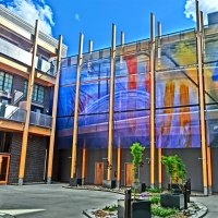 CIMG6859 (Large).JPG