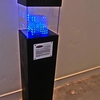 CIMG6236 (Medium).JPG