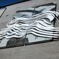 CIMG6651 (Large).JPG