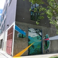 CIMG6768 (Large).JPG