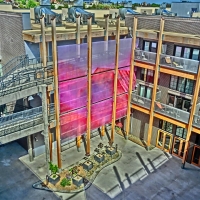 CIMG6799 (Large).JPG