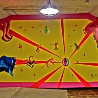 CIMG6805 (Large).JPG