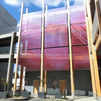 CIMG6850 (Large).JPG