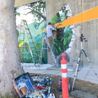 CIMG6898 (Large).JPG