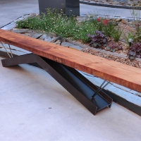 CIMG6907 (Large).JPG