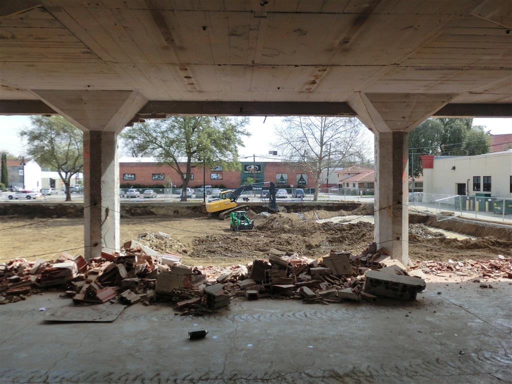 CIMG7996 (Medium).JPG