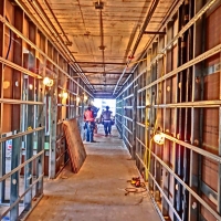 CIMG0885 (Large).JPG