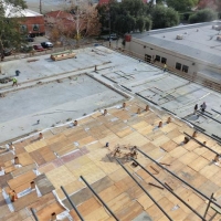 CIMG1480 (Small).JPG