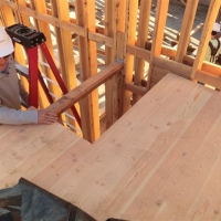 CIMG1701 (Small).JPG