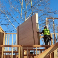 CIMG1706 (Small).JPG