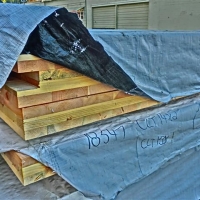 CIMG1752 (Small).JPG